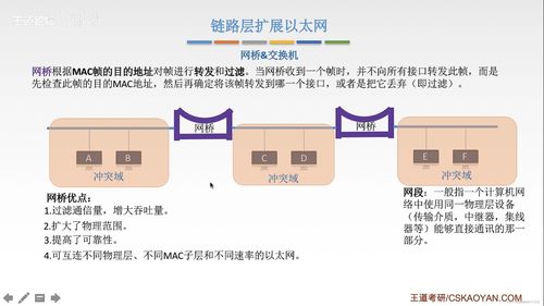 局域網 計算機網絡信息管理與服務的基石